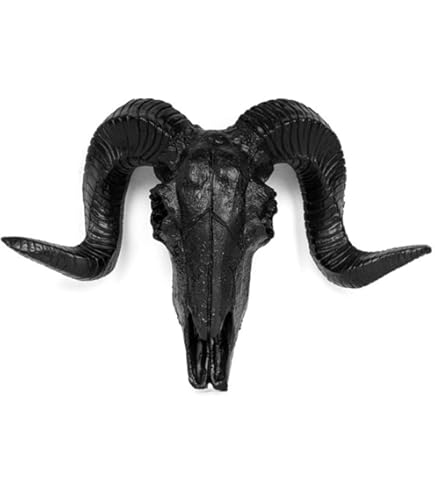 Amazon.co.jp: 大きめの鹿の角4本セット鹿角ディスプレイ飾り